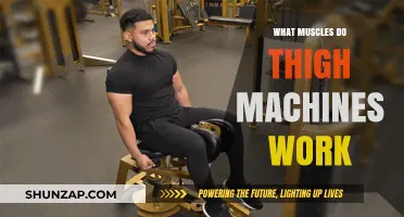 Thigh Machines: Targeted Muscles and Effective Workout Benefits Explained