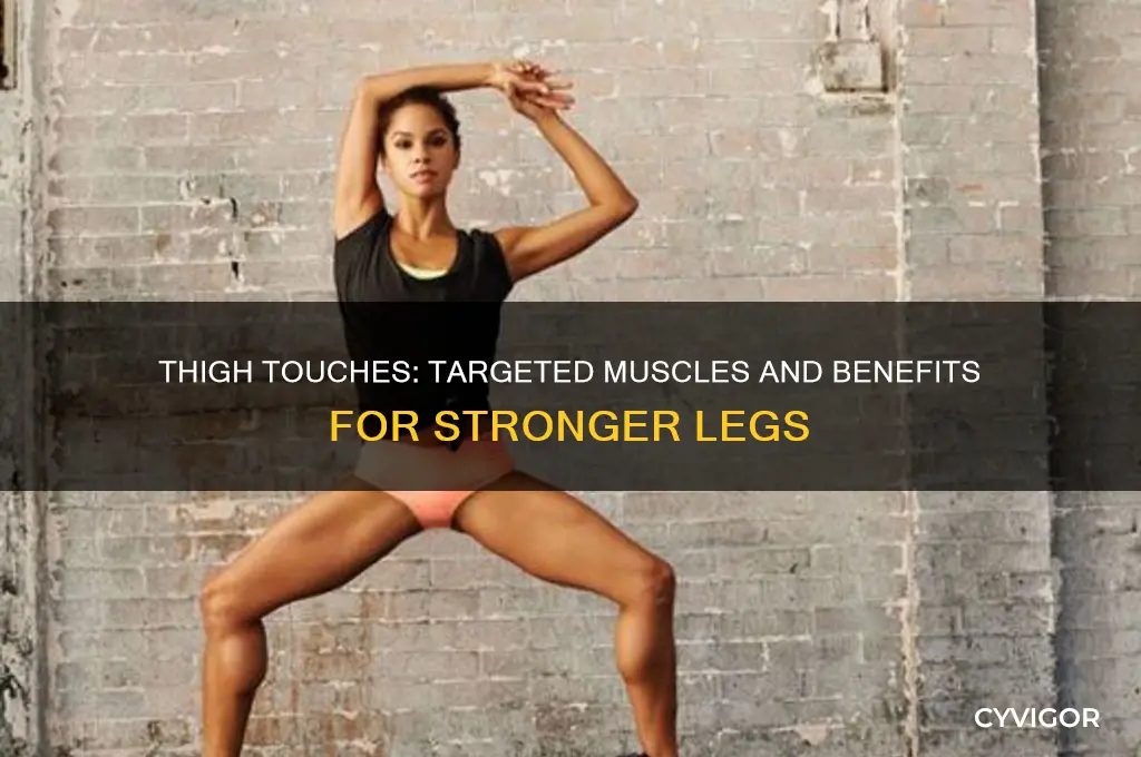 what muscles do thigh touches work