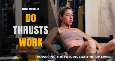 Thrusts Workout: Targeting Glutes, Core, and Lower Body Muscles