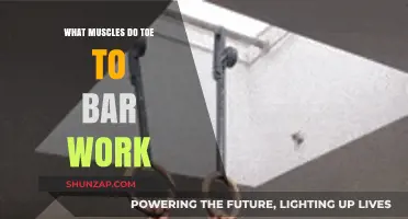 Toe to Bar Muscles: Core, Back, and Grip Strength Explained