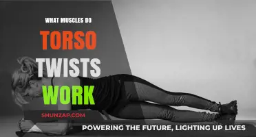 Torso Twists: Unlocking Core Strength and Muscle Engagement Explained