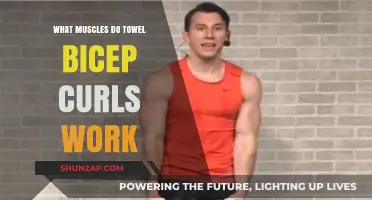 Towel Bicep Curls: Targeted Muscles and Effective Workout Benefits