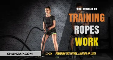 Training Ropes Workout: Targeted Muscles and Full-Body Benefits Explained