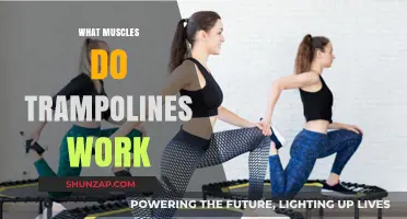 Trampoline Workout Benefits: Targeted Muscles and Full-Body Fitness Explained