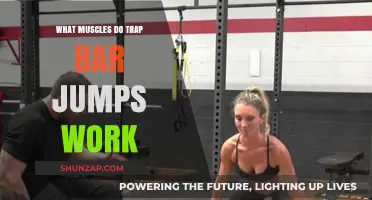Trap Bar Jumps: Targeted Muscles and Full-Body Benefits Explained