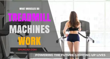 Treadmill Workout Benefits: Targeted Muscles and Full-Body Fitness Explained
