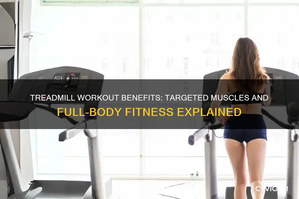 what muscles do treadmill machines work