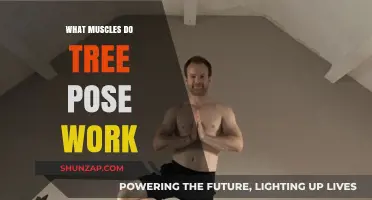 Tree Pose Benefits: Muscles Strengthened and Toned in Yoga Practice