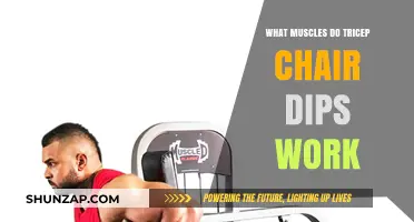Tricep Chair Dips: Targeted Muscles and Benefits Explained