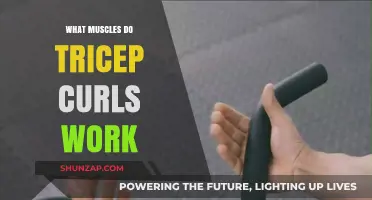 Tricep Curls: Targeted Muscles and Benefits for Stronger Arms