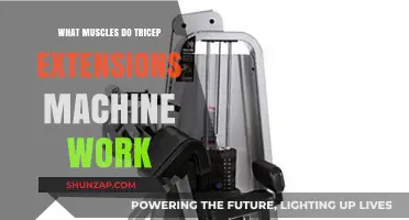 Tricep Extensions Machine: Target Muscles and Workout Benefits Explained