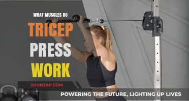 Tricep Press Muscles: Targeted Arm Strength and Toning Explained