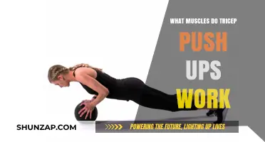 Tricep Push Ups: Targeted Muscles and Strength Benefits Explained
