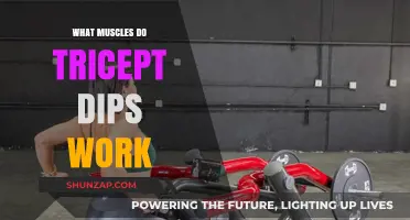 Tricep Dips: Target Muscles and Benefits Explained