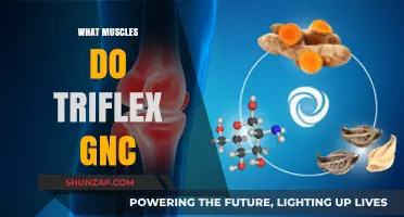 Triflex GNC: Muscle Recovery and Joint Support