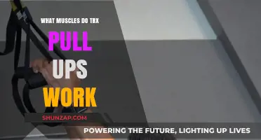 TRX Pull-Ups: Targeted Muscles and Full-Body Benefits Explained