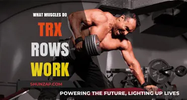 TRX Rows: Target Muscles and Full-Body Benefits Explained
