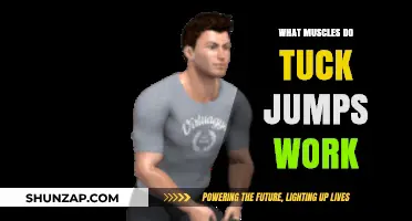Tuck Jumps: Targeted Muscles and Full-Body Benefits Explained