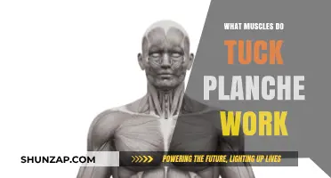 Tuck Planche Mastery: Muscles Engaged and Strengthened Revealed