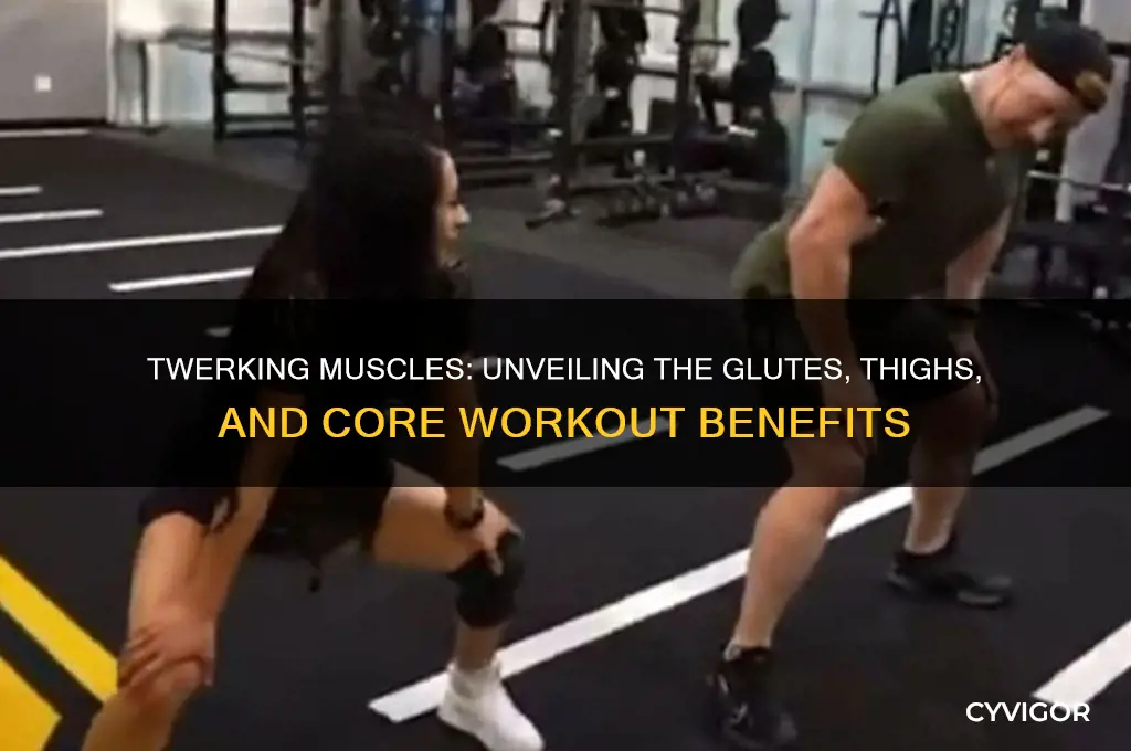 what muscles do twerking work