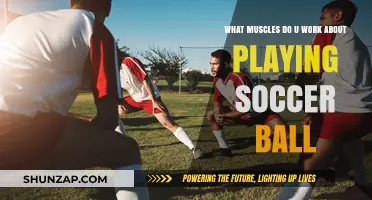 Soccer's Full-Body Workout: Muscles Engaged While Playing the Beautiful Game