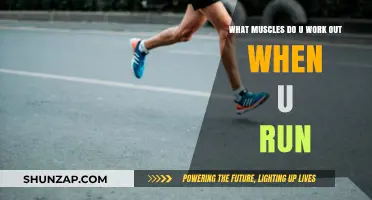 Running's Muscle Power: Unveiling the Key Muscles You Engage While Running
