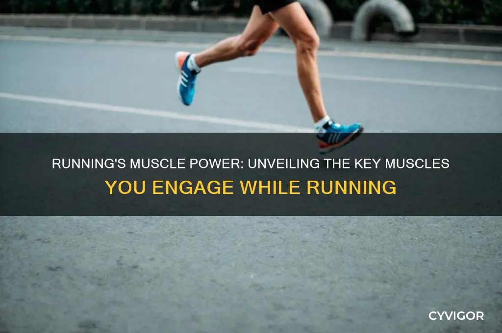 what muscles do u work out when u run