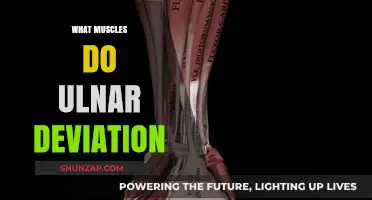 Ulnar Deviation: Strengthening Your Forearms