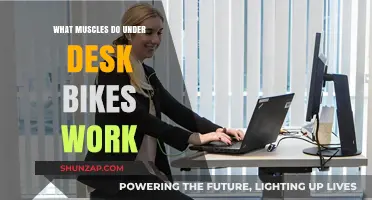 Under Desk Bikes: Targeted Muscles and Fitness Benefits Explained