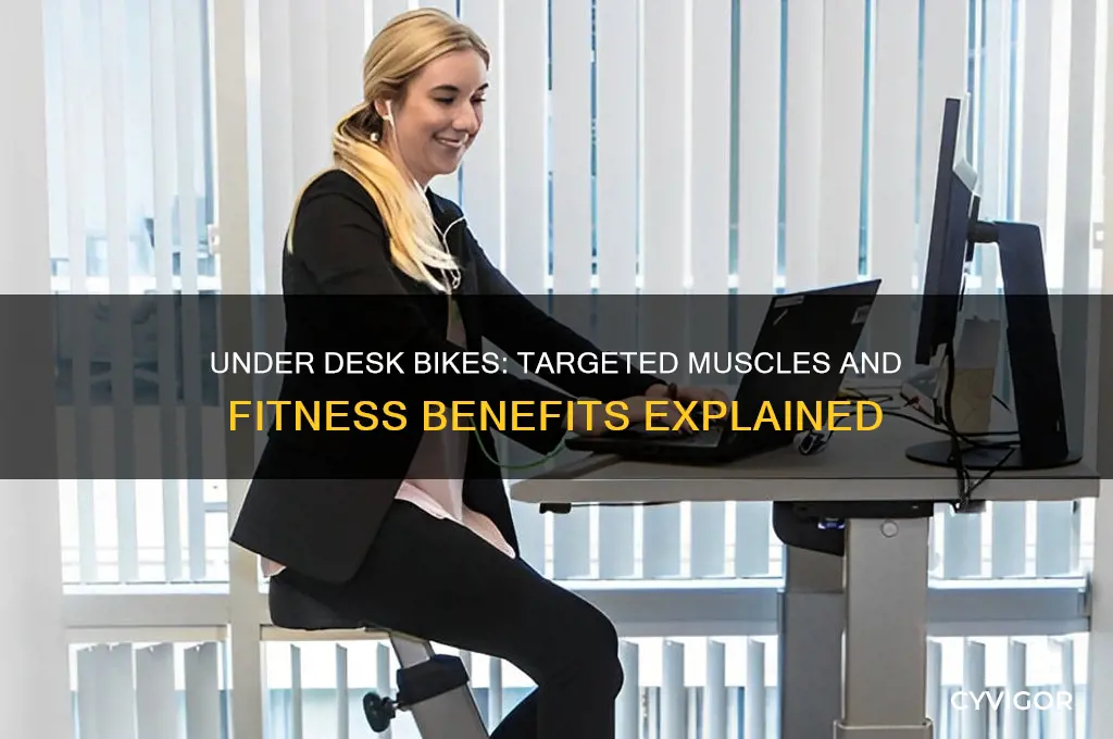 what muscles do under desk bikes work