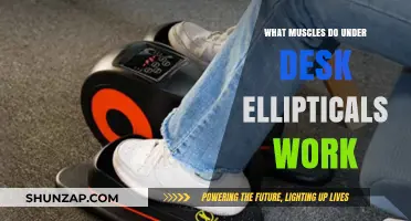 Under Desk Ellipticals: Targeted Muscles and Fitness Benefits Explained