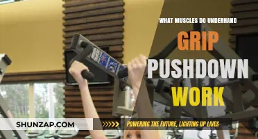 Underhand Grip Pushdown: Target Muscles and Workout Benefits Explained