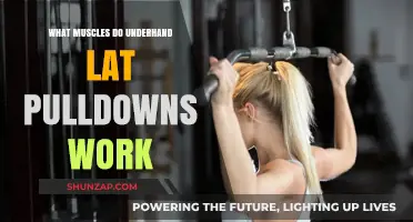 Underhand Lat Pulldowns: Target Muscles and Workout Benefits Explained