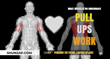 Underhand Pull-Ups: Targeted Muscles and Strength Benefits Explained