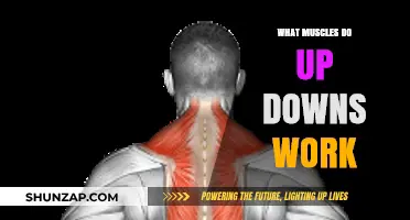 Up Downs: Target Muscles and Full-Body Benefits Explained