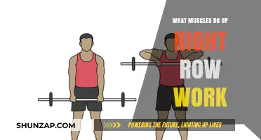 Upright Row Muscles: Targeted Areas and Workout Benefits Explained
