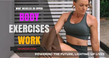 Upper Body Workouts: Targeted Muscles for Strength and Tone