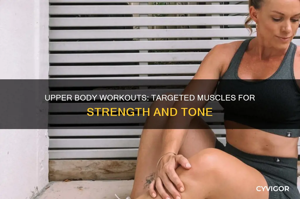 what muscles do upper body exercises work
