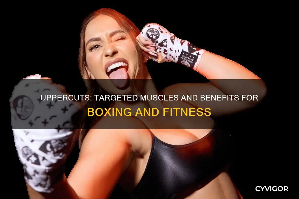 what muscles do uppercuts work