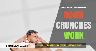 Upside Down Crunches: Targeted Muscles and Core Strengthening Benefits