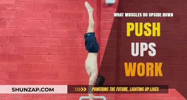 Upside Down Push Ups: Targeted Muscles and Benefits Explained
