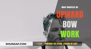 Upward Bow Pose: Muscles Engaged and Strengthened in Yoga Practice