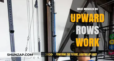 Upward Rows: Target Muscles and Benefits for Strength Training