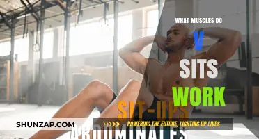 V-Sits: Unlocking Core Strength and Targeted Muscle Engagement