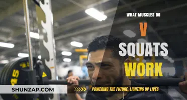 V Squats: Targeted Muscles and Benefits for Lower Body Strength