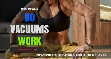 Vacuuming Muscles: Unveiling the Surprising Workout Benefits of Cleaning