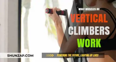 Vertical Climbers: Target Muscles and Full-Body Benefits Explained