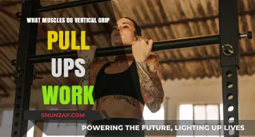 Vertical Grip Pull-Ups: Targeted Muscles and Strength Benefits Explained