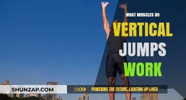 Vertical Jumps: Key Muscles Engaged for Explosive Power and Height