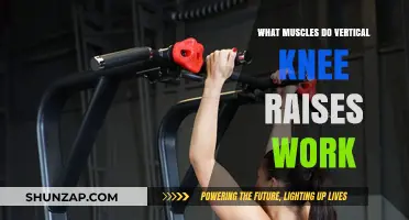 Vertical Knee Raises: Targeted Muscles and Core Strength Benefits